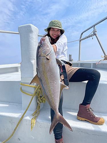 カンパチの釣果