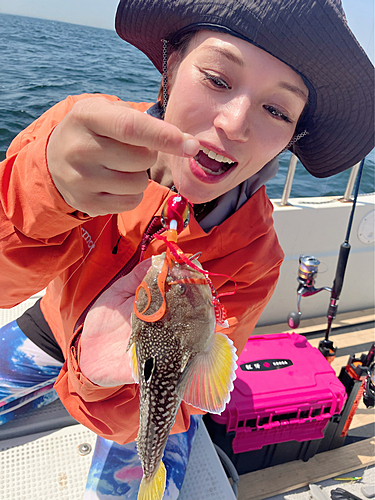 ミシマオコゼの釣果