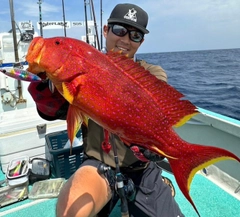 バラハタの釣果