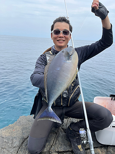 テングハギモドキの釣果