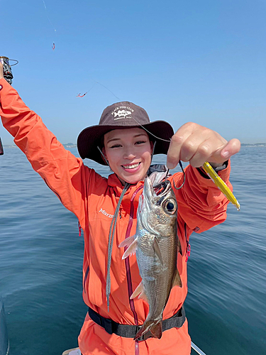 クロムツの釣果