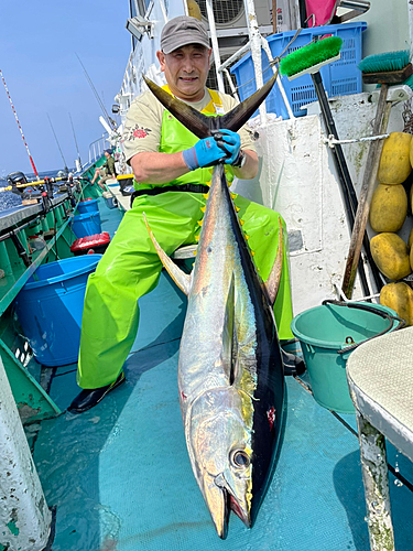 キハダマグロの釣果