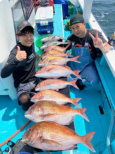 マダイの釣果