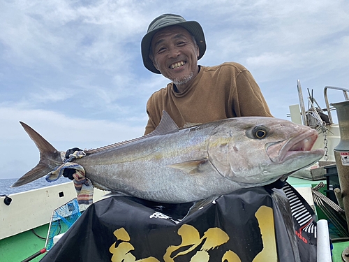 カンパチの釣果