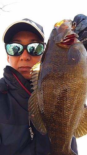 スモールマウスバスの釣果