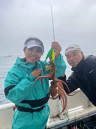 マダコの釣果