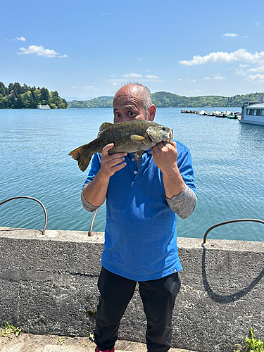 スモールマウスバスの釣果