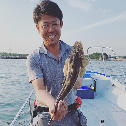 マゴチの釣果