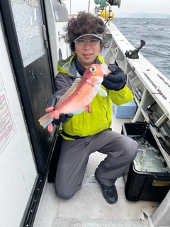 アマダイの釣果