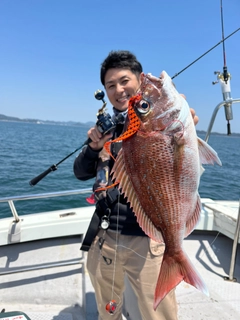 マダイの釣果