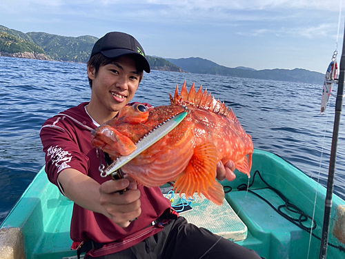 ウッカリカサゴの釣果