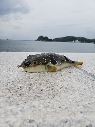 釣果