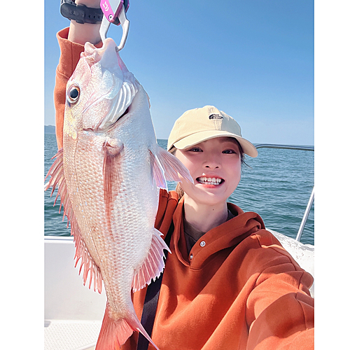 タイの釣果