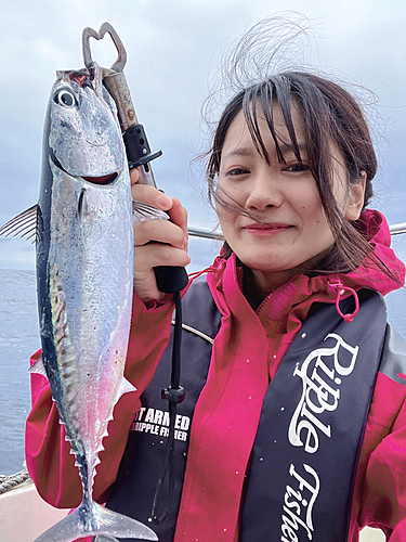 ソウダガツオの釣果