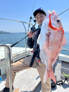 マダイの釣果