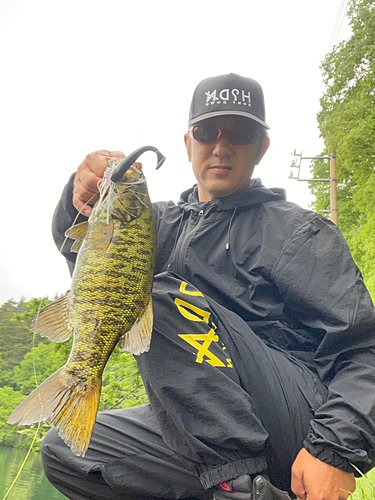 スモールマウスバスの釣果