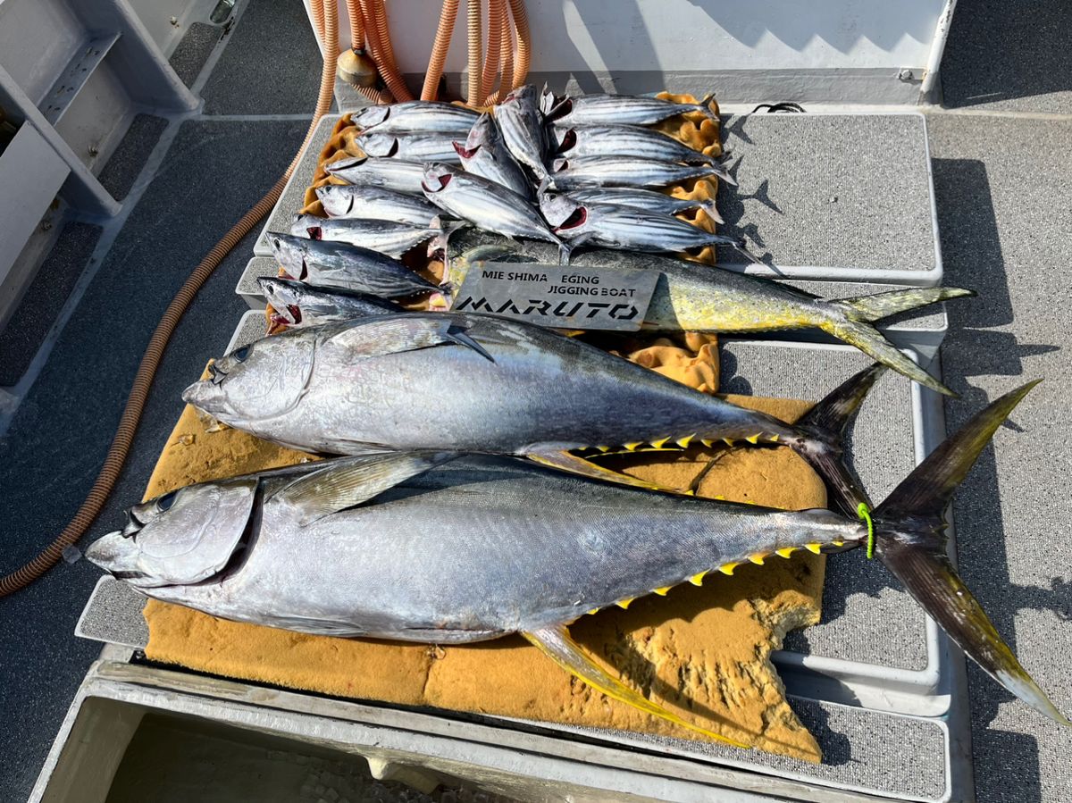 シカタの釣りチャンネルさんの釣果 2枚目の画像