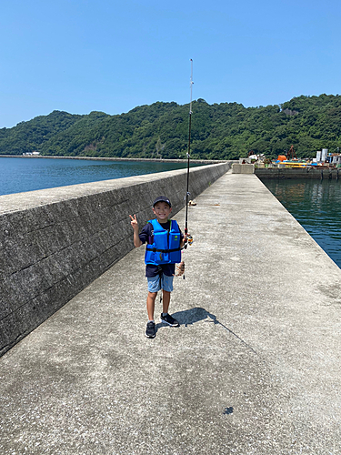 カワハギの釣果