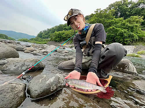 ヤマメの釣果