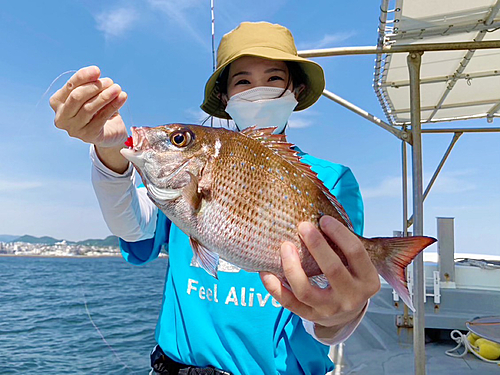 タイの釣果