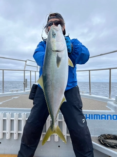 ワラサの釣果