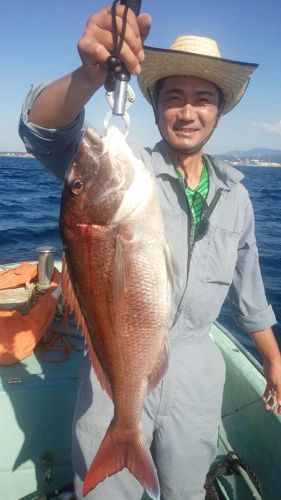 マダイの釣果