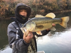 ブラックバスの釣果