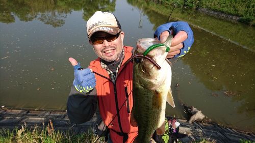 ブラックバスの釣果