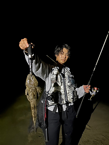 マゴチの釣果