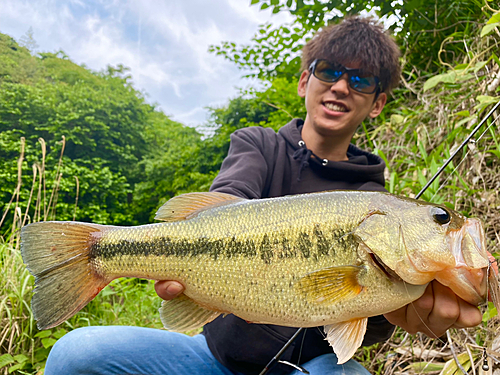 ブラックバスの釣果