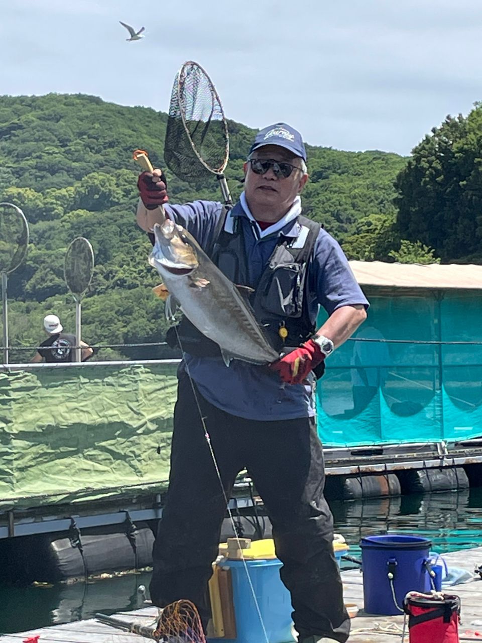 カンパチ