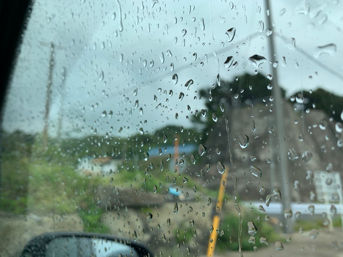 クサの上のフグさんの釣果 2枚目の画像