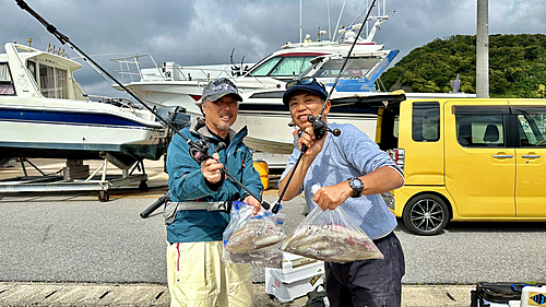 マルイカの釣果