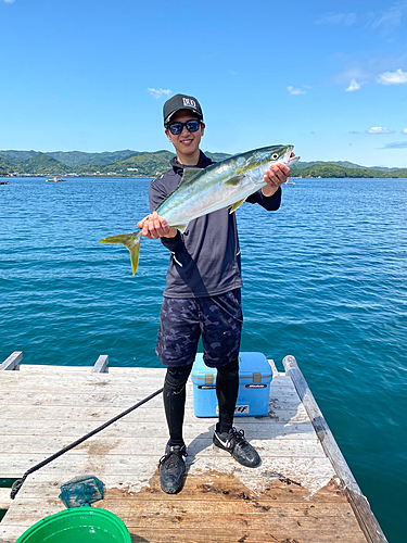 ワラサの釣果