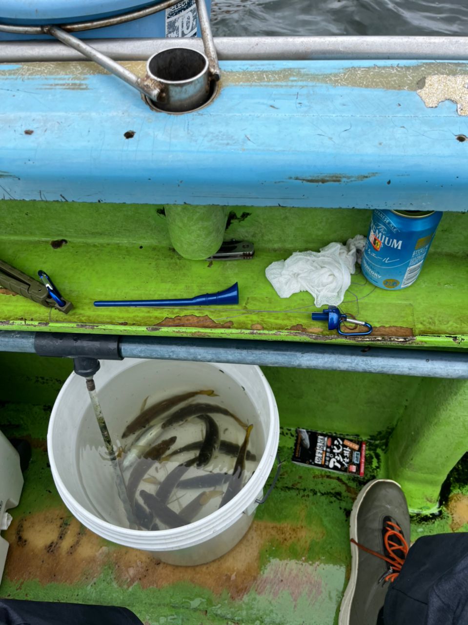 Reefkeeperさんの釣果 2枚目の画像