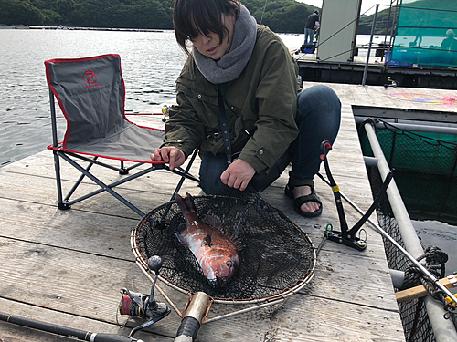 カンパチの釣果