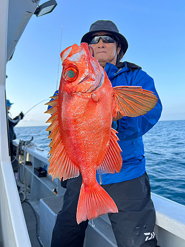 チカメキントキの釣果