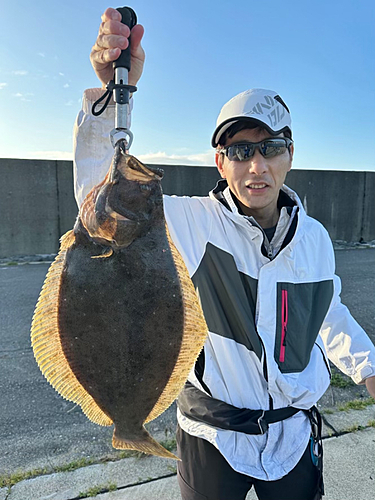 ヒラメの釣果