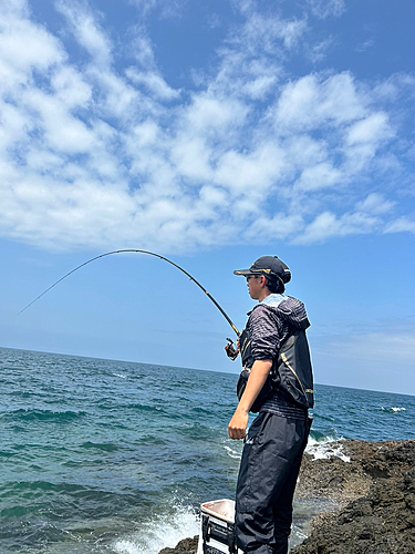 クロの釣果