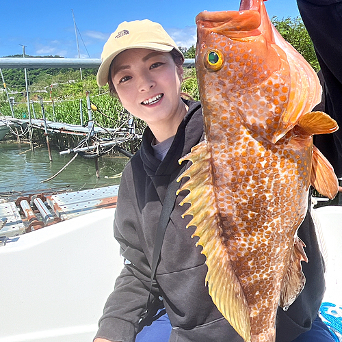 キジハタの釣果