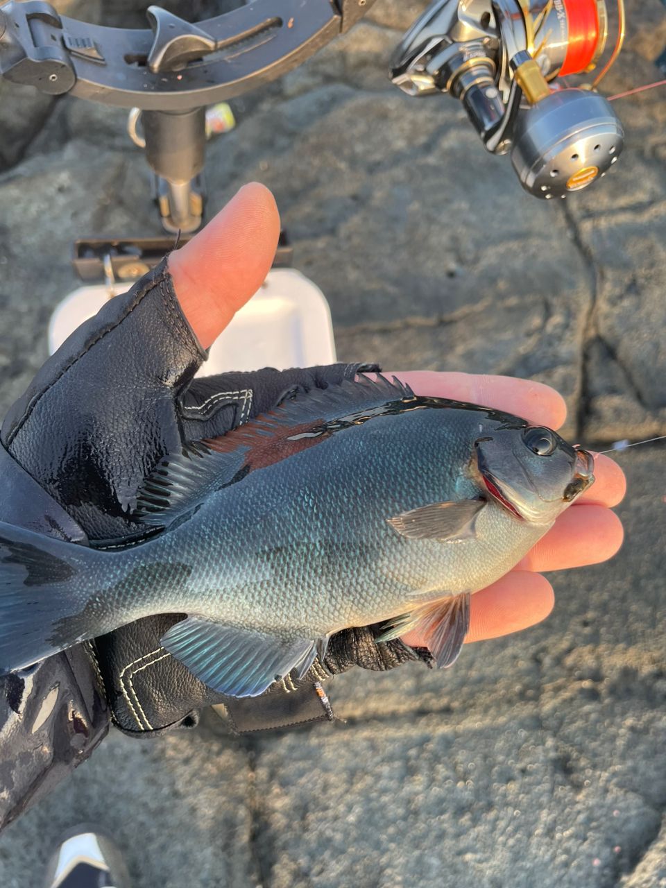 たはらさんの釣果 2枚目の画像