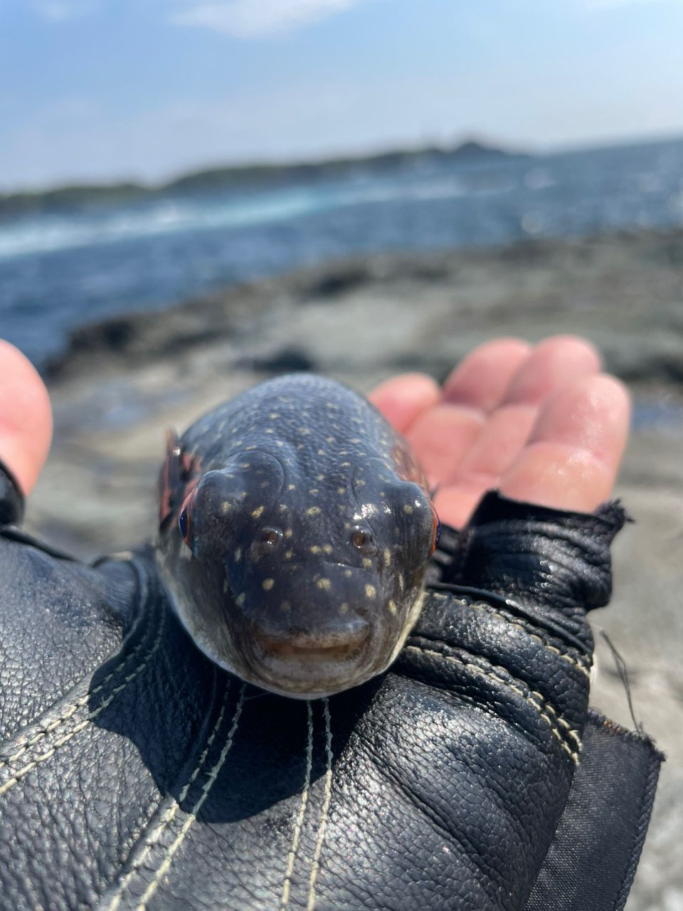 たはらさんの釣果 3枚目の画像