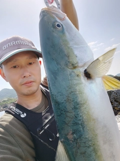 ハマチの釣果