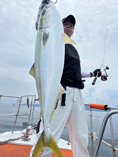 ブリの釣果