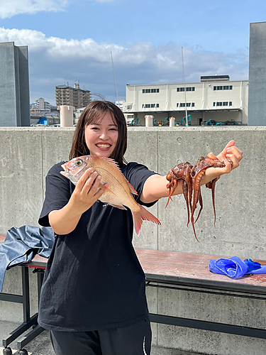 タコの釣果