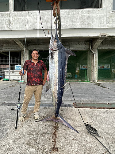 クロカジキの釣果