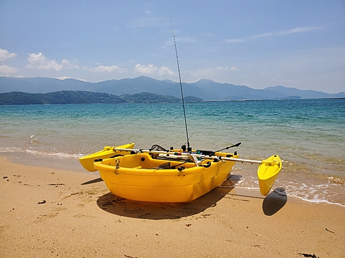 シロギスの釣果