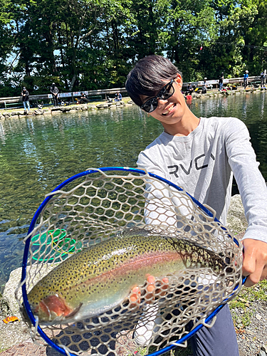 トラウトの釣果