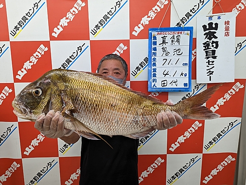 タイの釣果