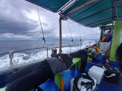 ショウサイフグの釣果